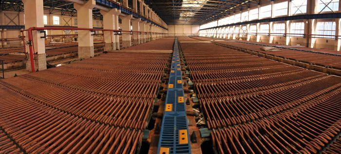 W020241121375656451828