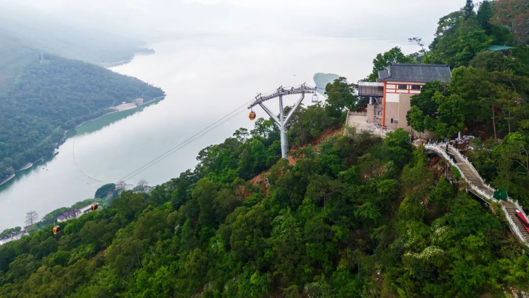 太阳城官网(中国集团)有限公司