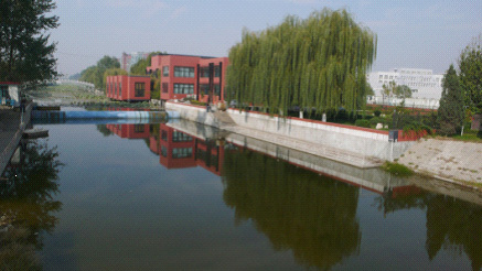 W020241119545503921587