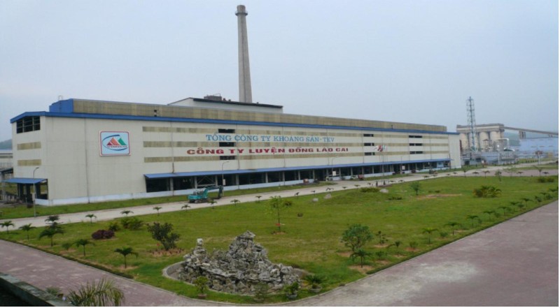 W020241119545513877724