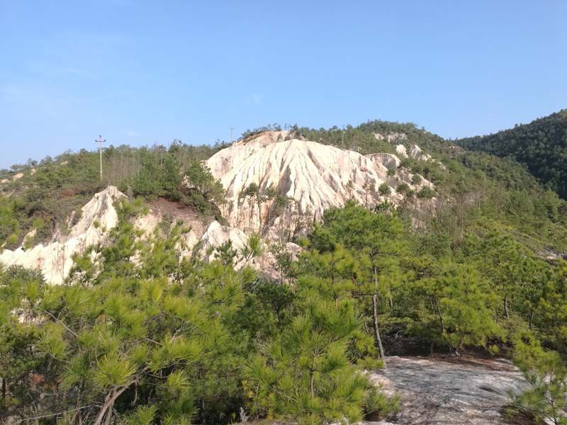 P020241220366370848808