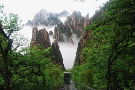 W020241119528351988783