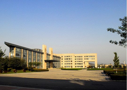 W020241119528356481546